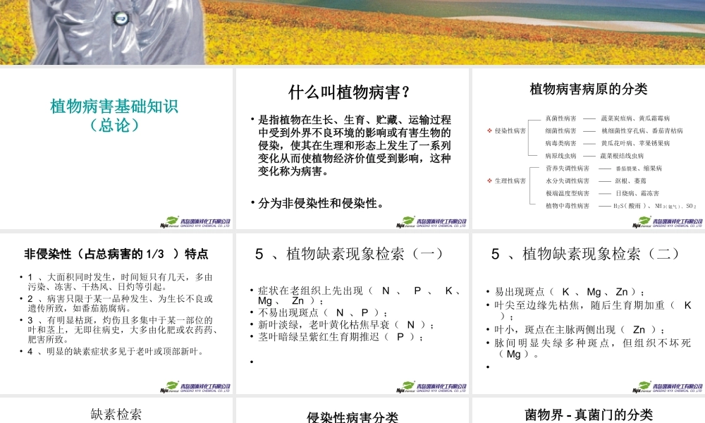 植物病害讲义PPT.ppt