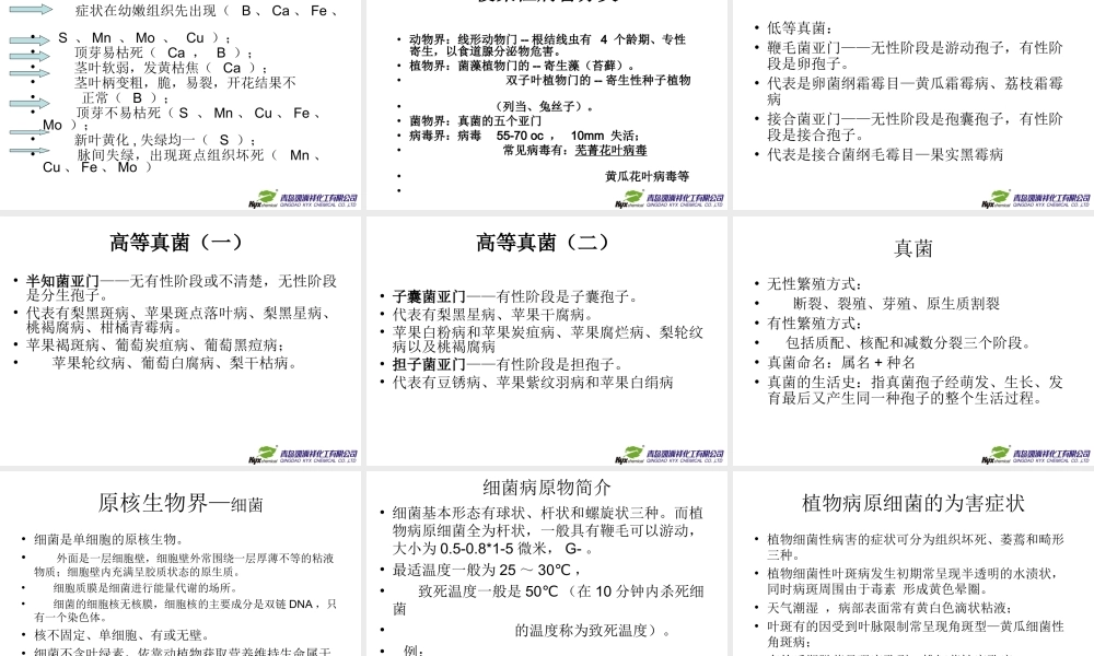 植物病害讲义PPT.ppt