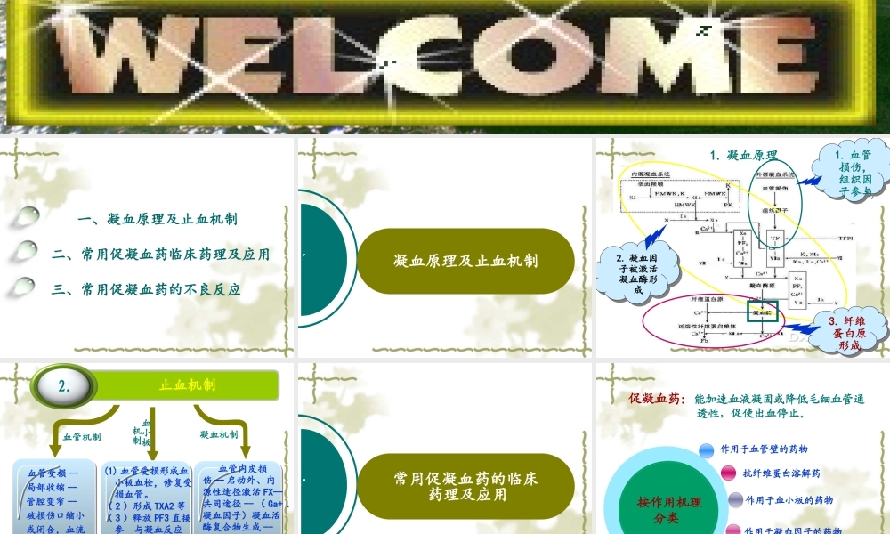 促凝血药的合理使用.ppt