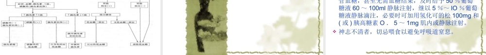 低血糖症(修改版).ppt