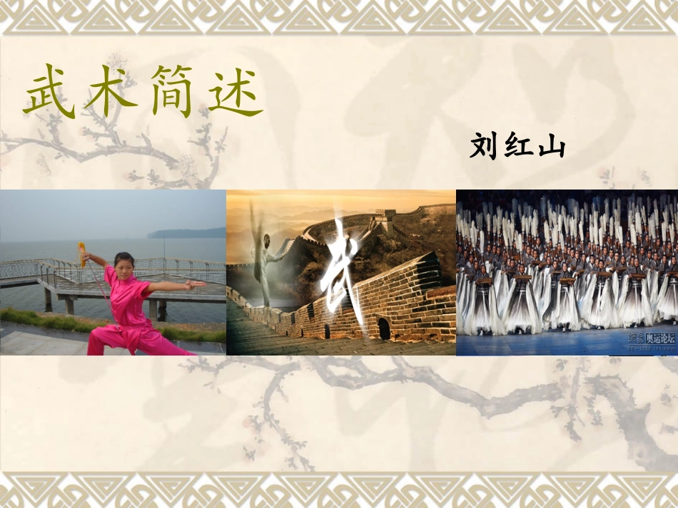 武术基本简述.ppt_第1页