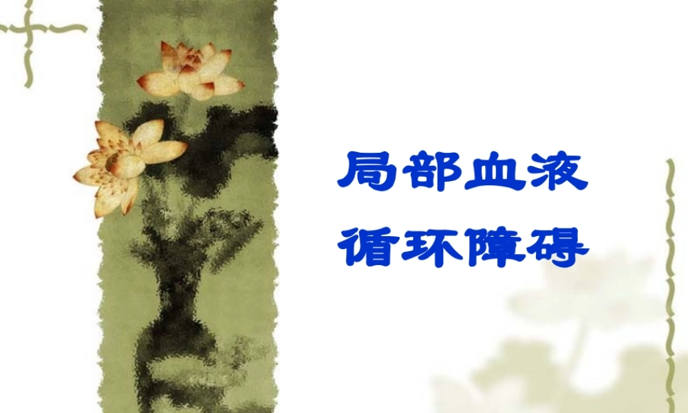 局部血液循环.ppt