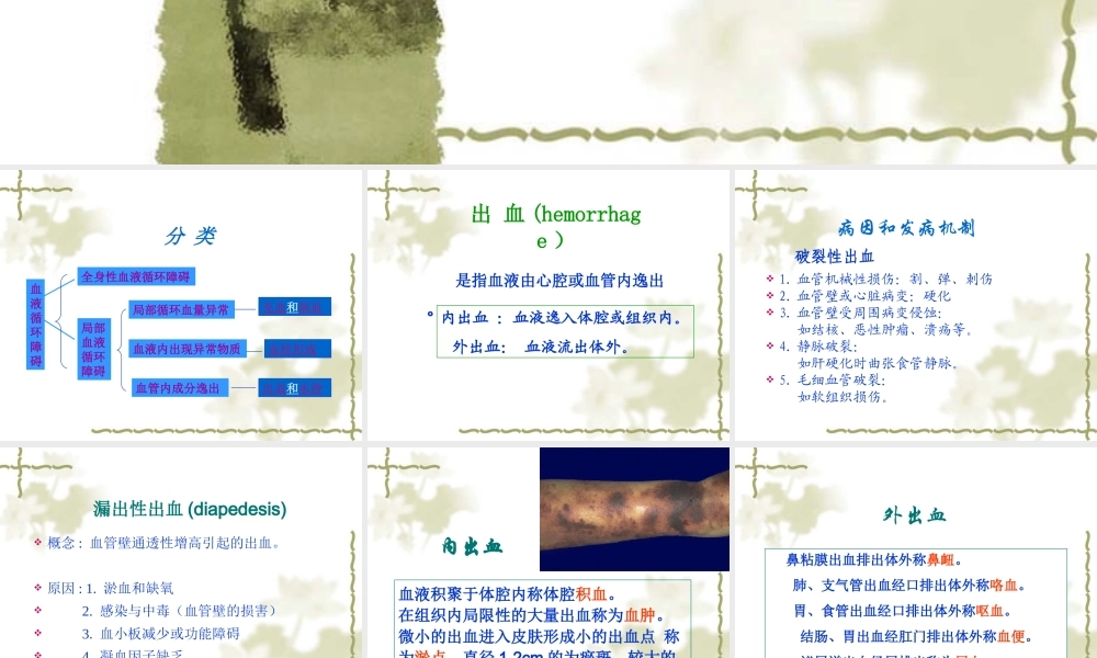 局部血液循环.ppt