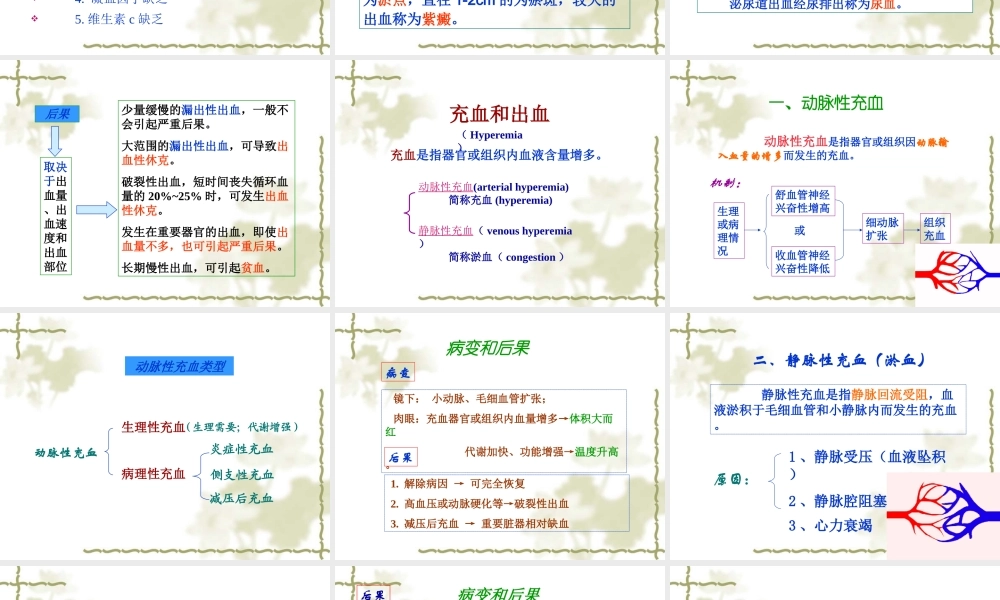 局部血液循环.ppt