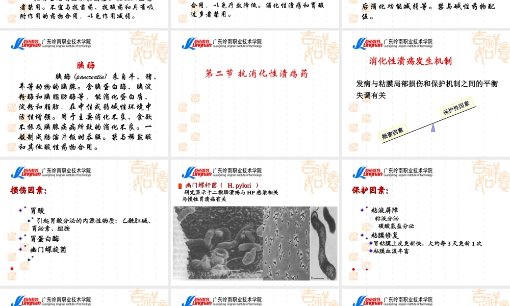 作用消化系统药.ppt