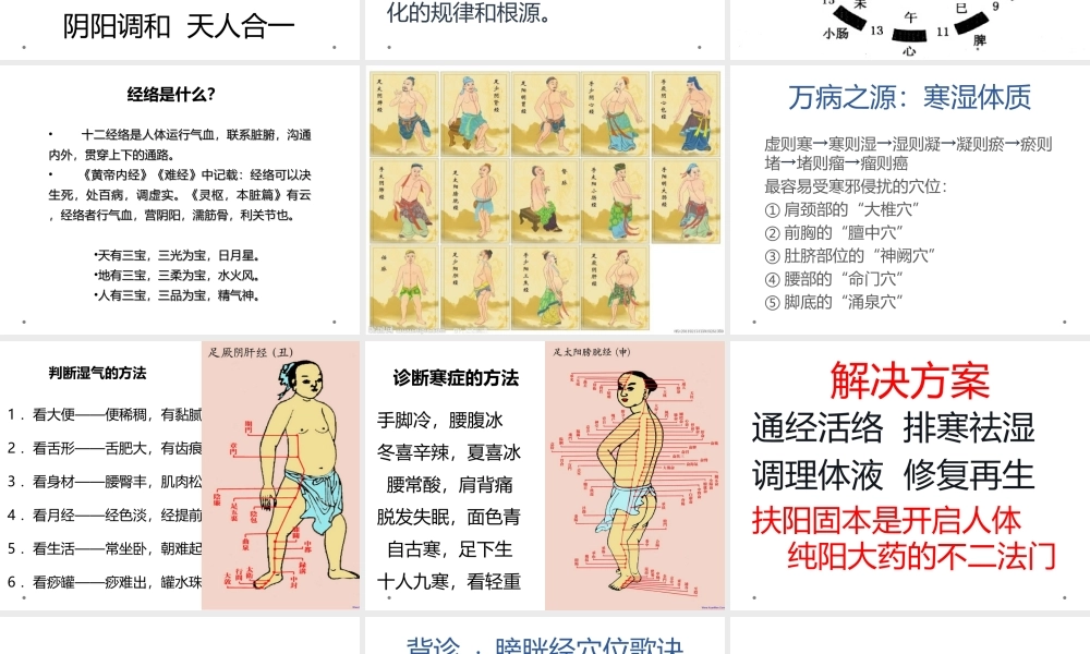 人为什么会生病？背诊剖析.ppt