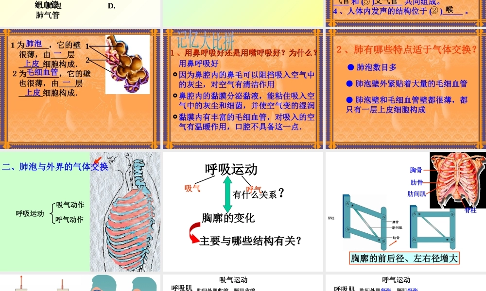 人体与外界的气体交换.ppt