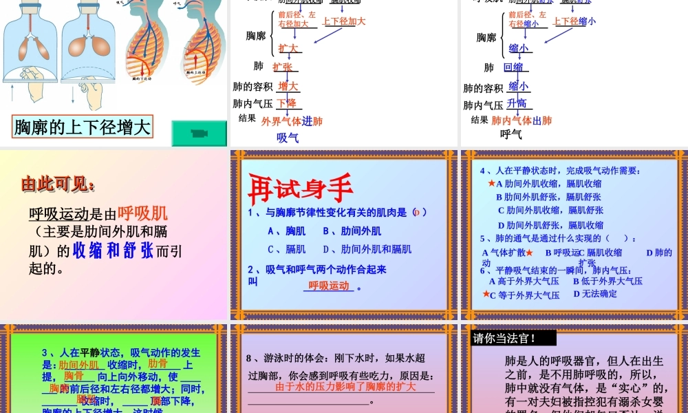 人体与外界的气体交换.ppt