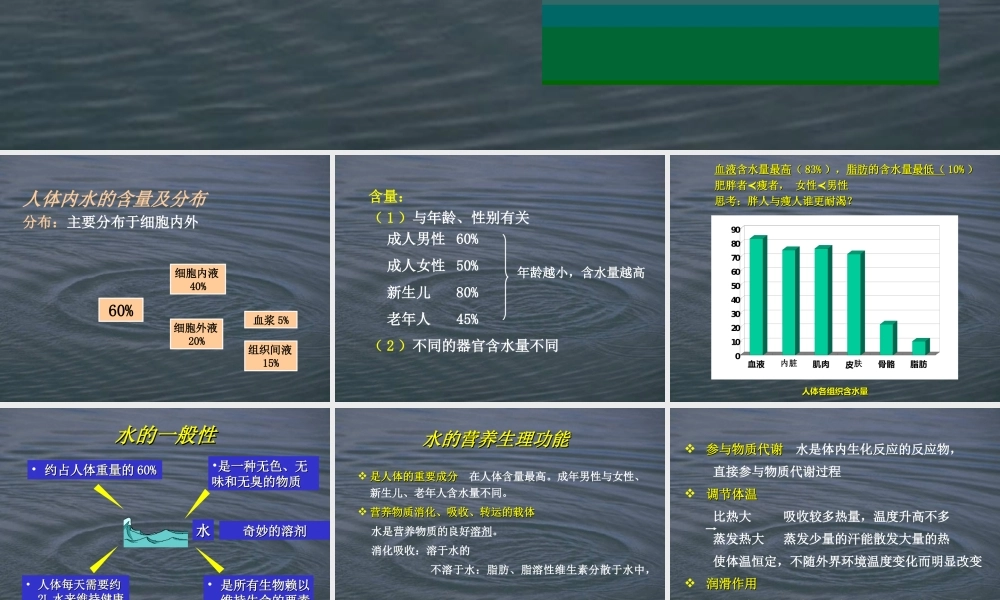 人体对水的需要.ppt