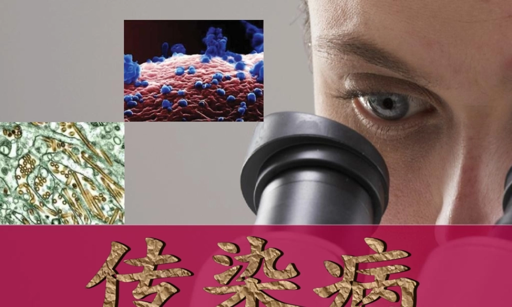 传染病及其应急预案(PPT).ppt