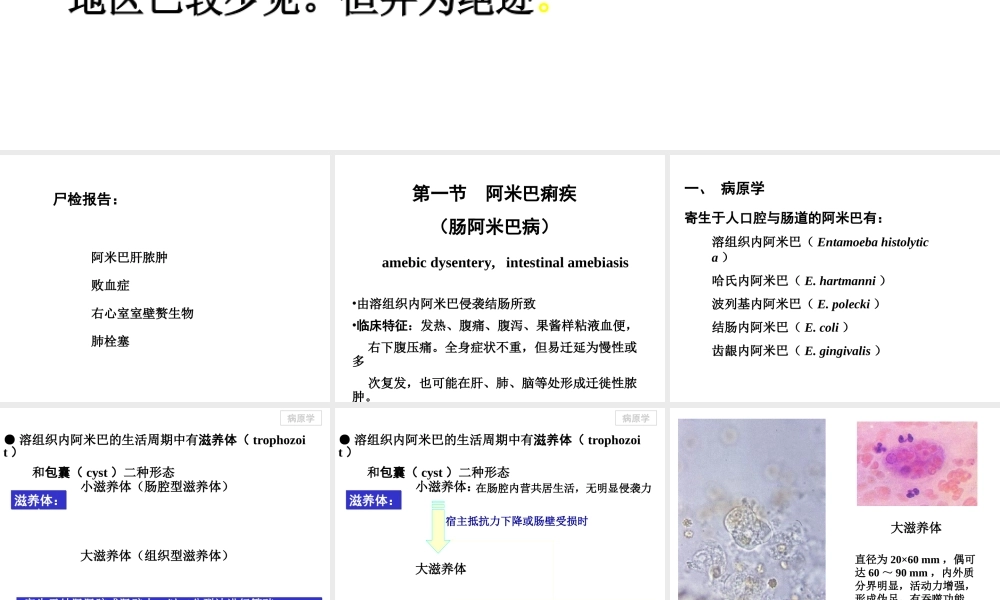人体寄生虫阿米巴病.ppt