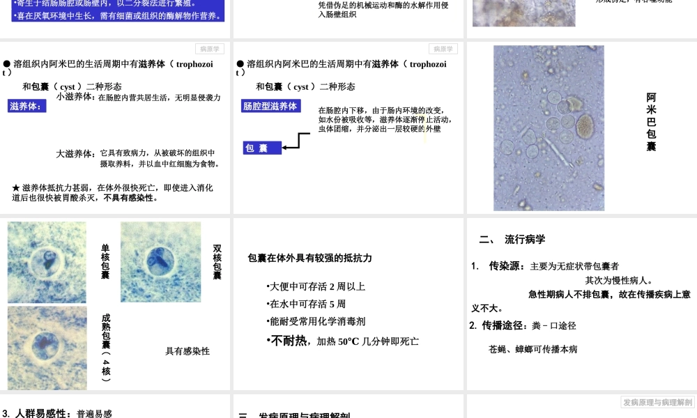 人体寄生虫阿米巴病.ppt