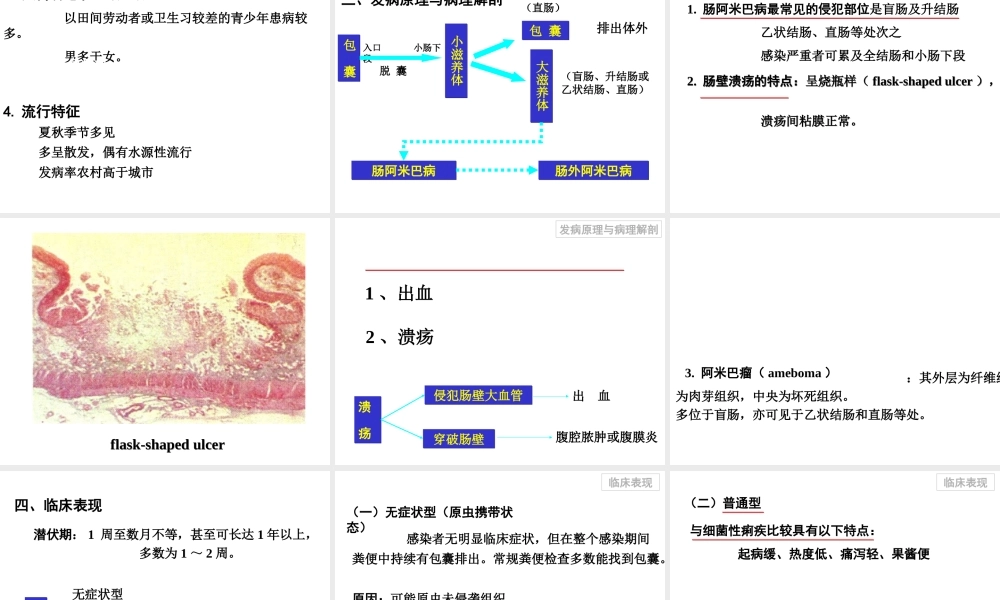 人体寄生虫阿米巴病.ppt