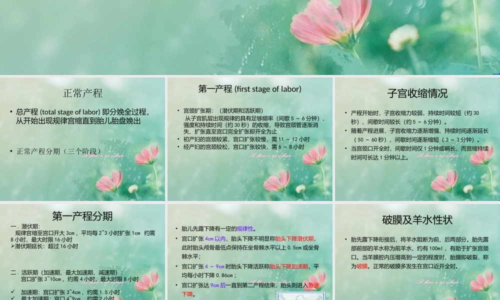 产程疼痛机制.pptx