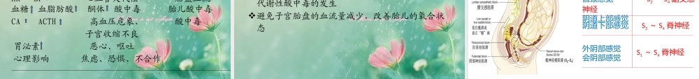 产程疼痛机制.pptx