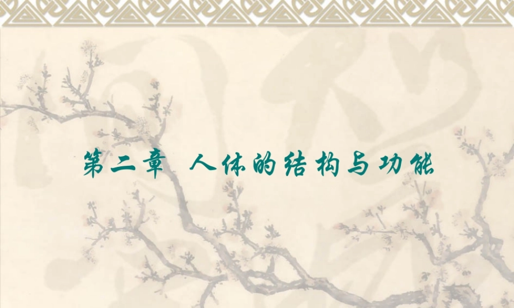 人体的结构与功能.ppt