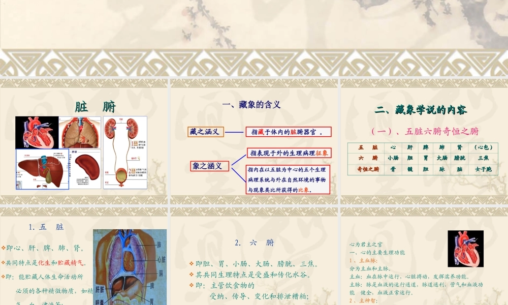 人体的结构与功能.ppt