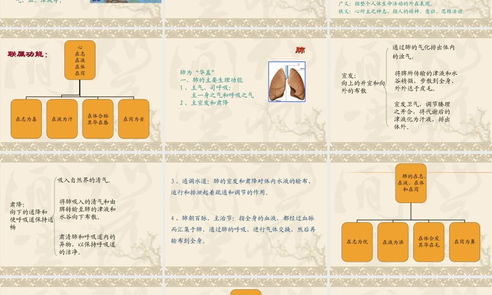 人体的结构与功能.ppt