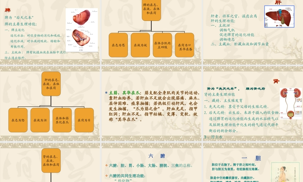 人体的结构与功能.ppt