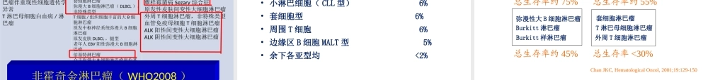 人卫三版-七八年制-淋巴瘤.ppt