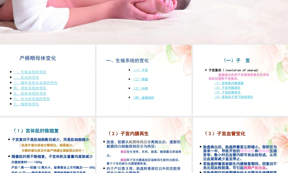 产褥期母体的变化.ppt