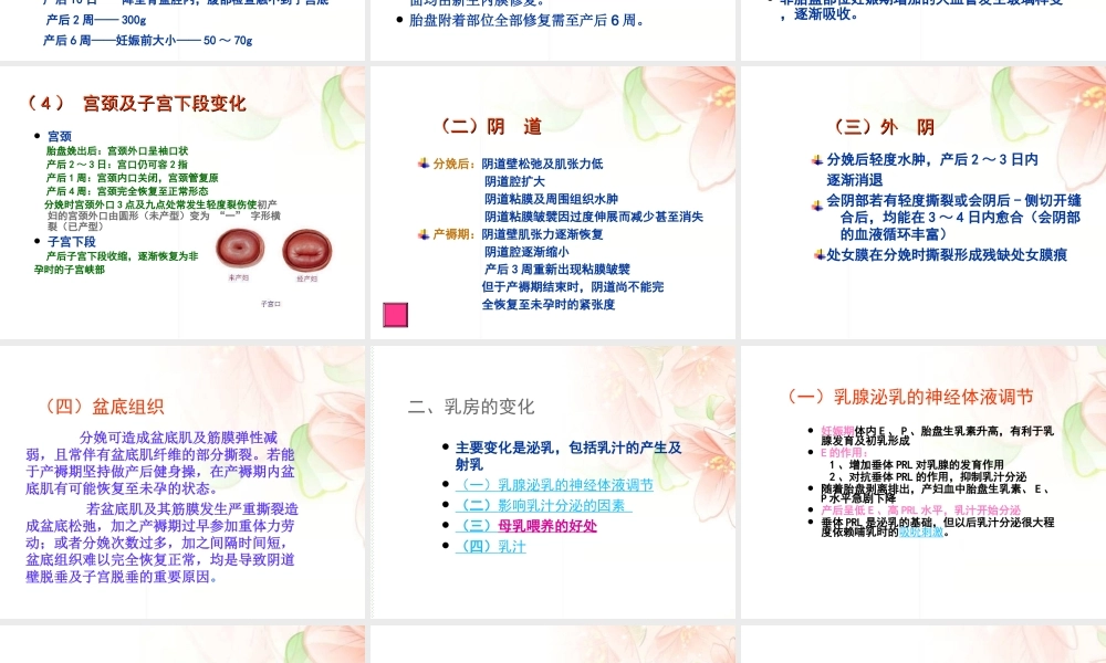 产褥期母体的变化.ppt