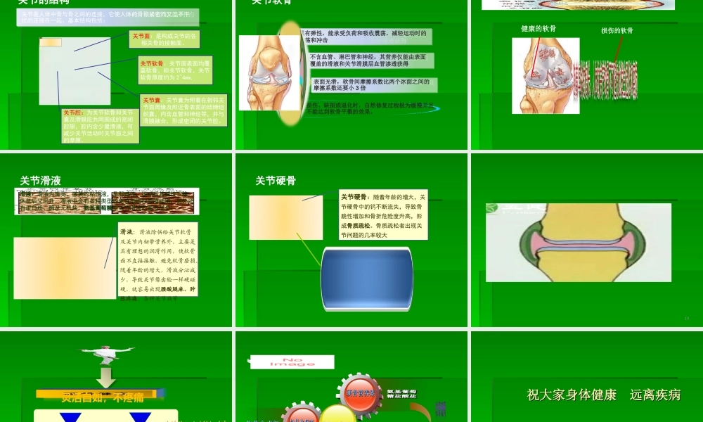 人体骨骼-PPT文档.ppt