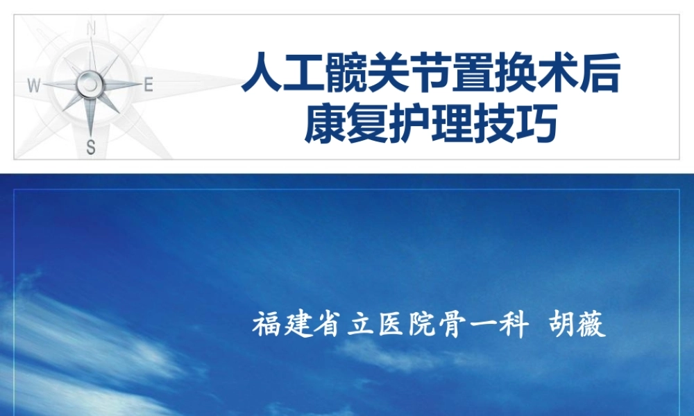 人工髋关节置换术(ppt).ppt