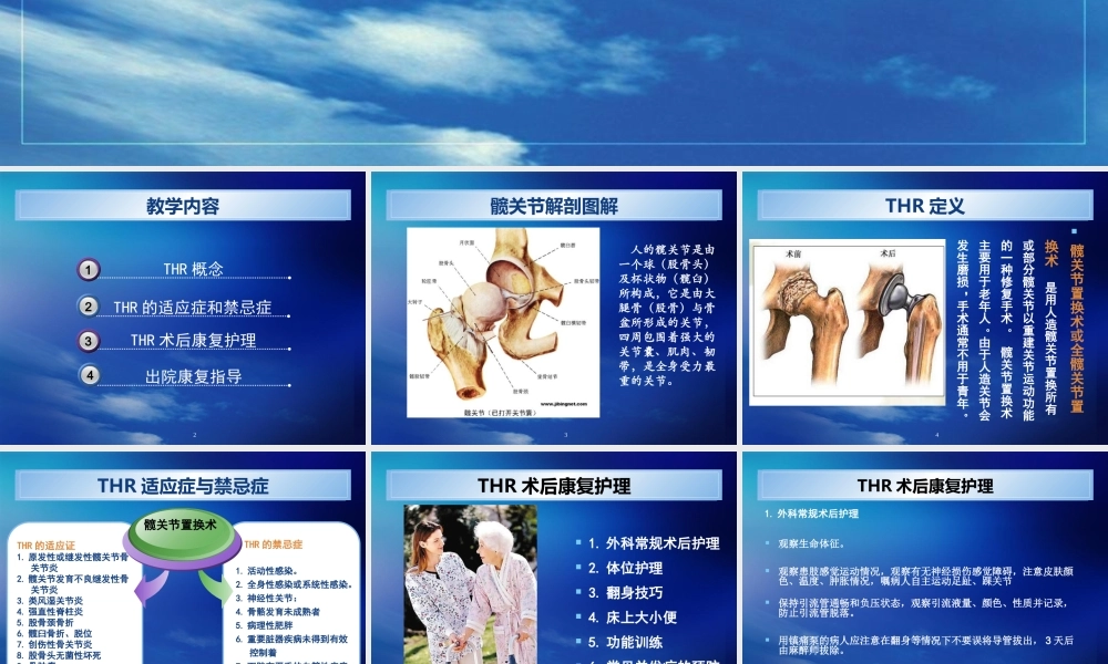 人工髋关节置换术(ppt).ppt