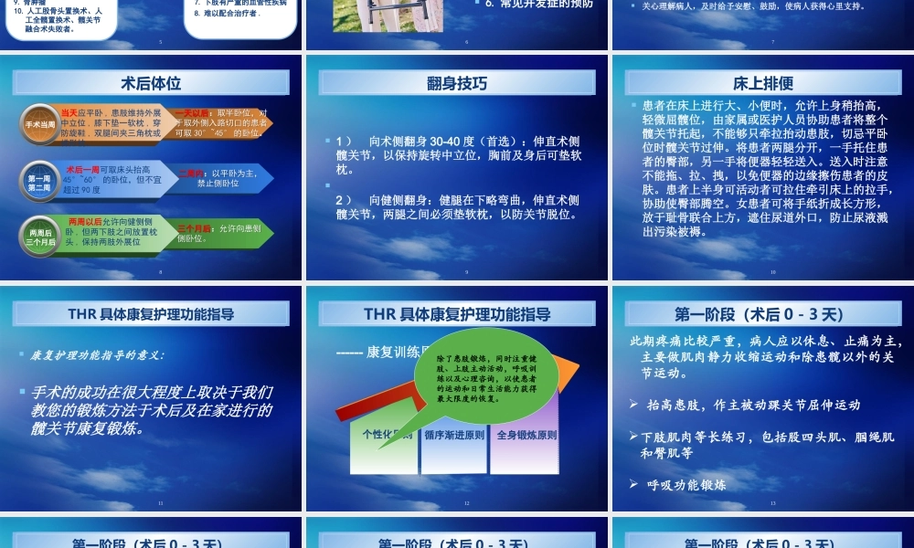 人工髋关节置换术(ppt).ppt