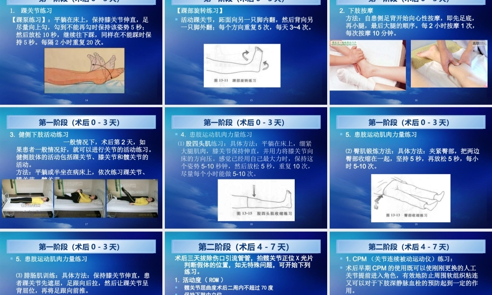 人工髋关节置换术(ppt).ppt