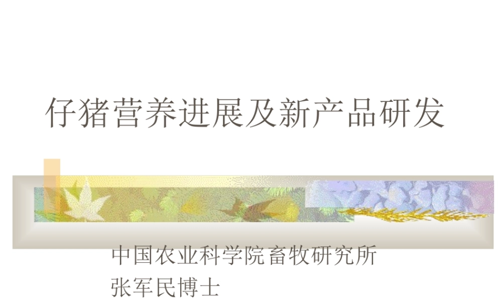 仔猪营养知识.ppt