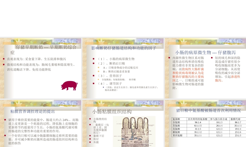 仔猪营养知识.ppt