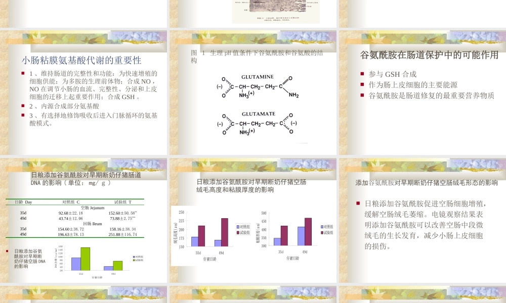 仔猪营养知识.ppt
