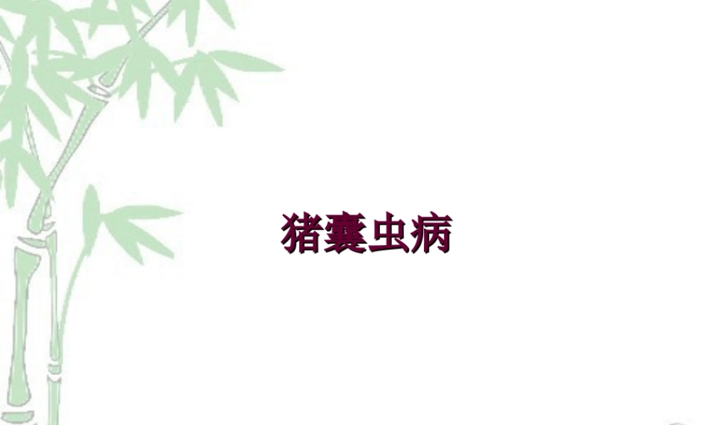 人畜共患寄生虫病的检疫.ppt