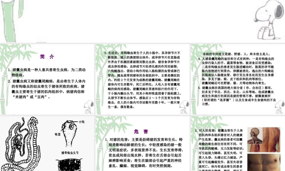 人畜共患寄生虫病的检疫.ppt