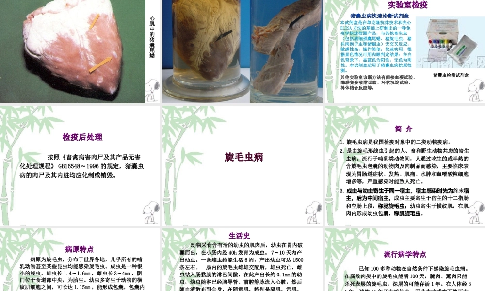 人畜共患寄生虫病的检疫.ppt