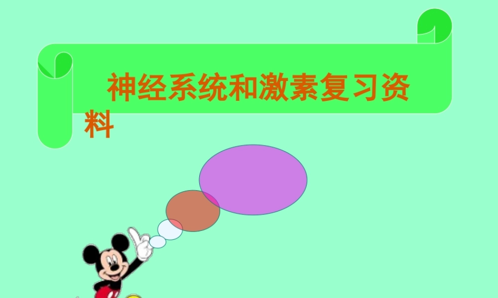 人体的自我调节.ppt