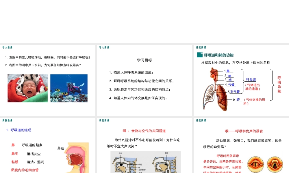 人体细胞获得氧气过程.ppt