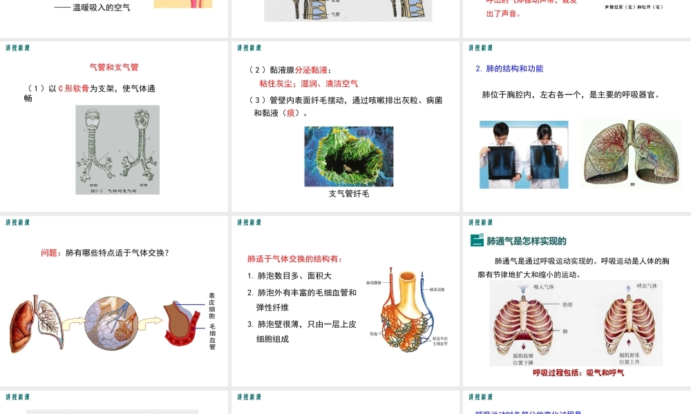 人体细胞获得氧气过程.ppt