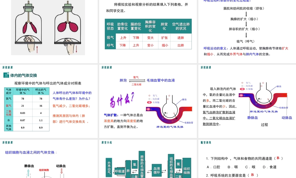 人体细胞获得氧气过程.ppt