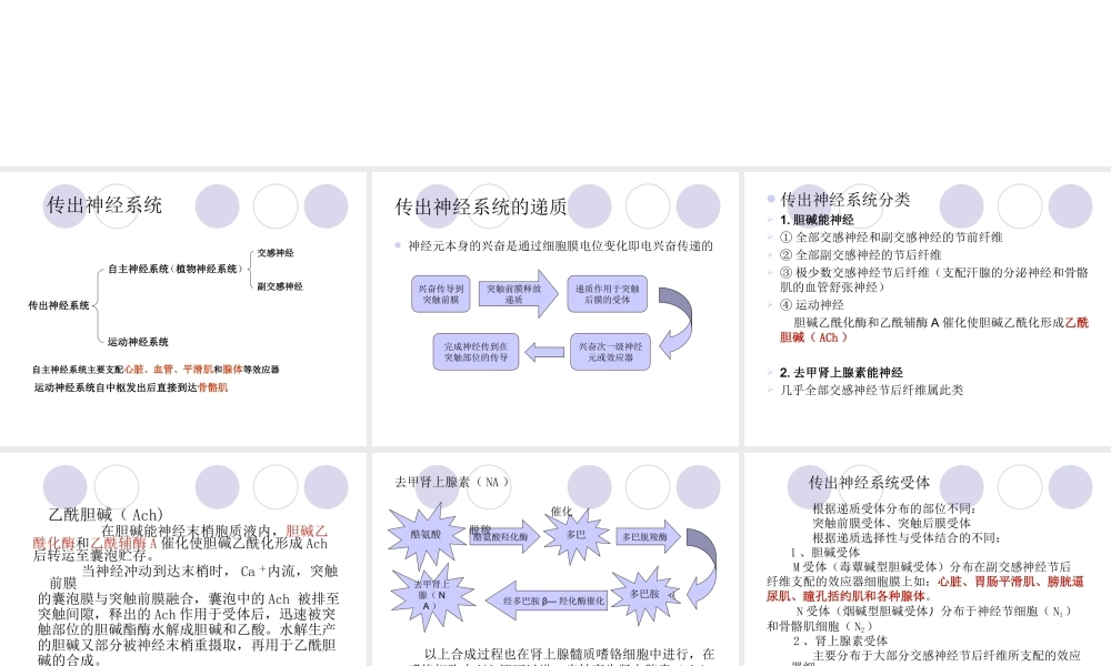 传出神经系统药理-图文.ppt