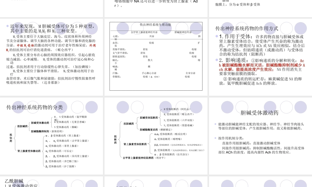 传出神经系统药理-图文.ppt