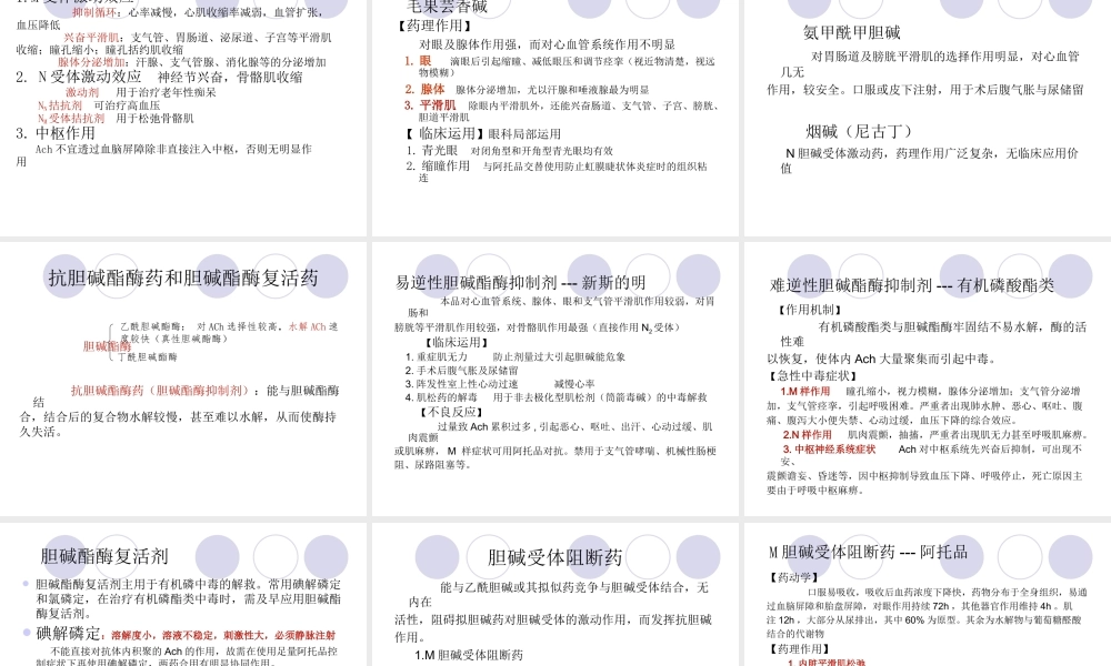 传出神经系统药理-图文.ppt