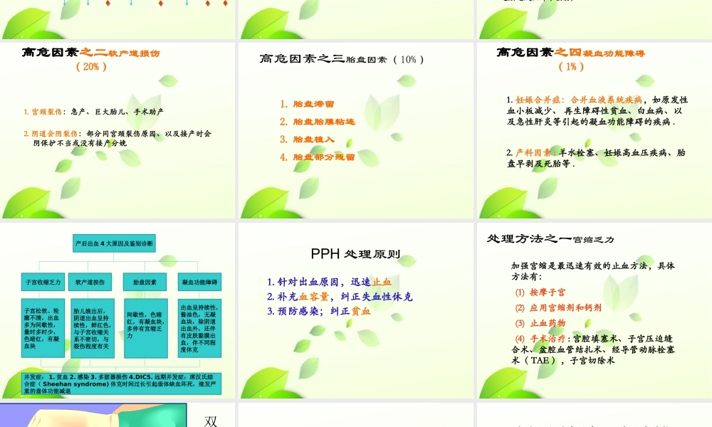 从数字看产后出血.pptx