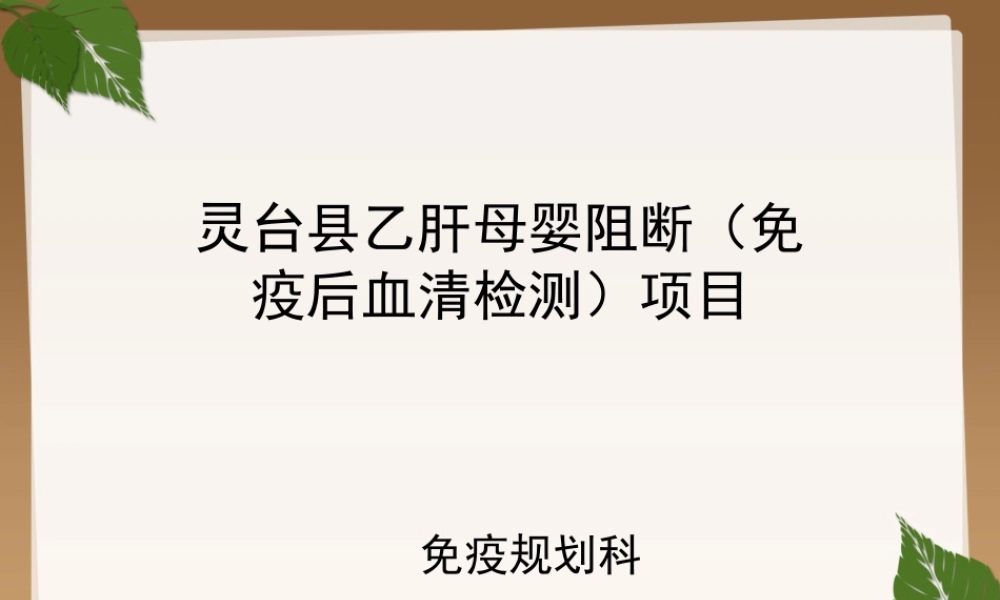 乙肝母婴阻断项目.ppt
