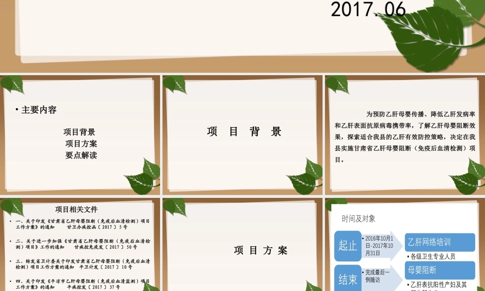 乙肝母婴阻断项目.ppt