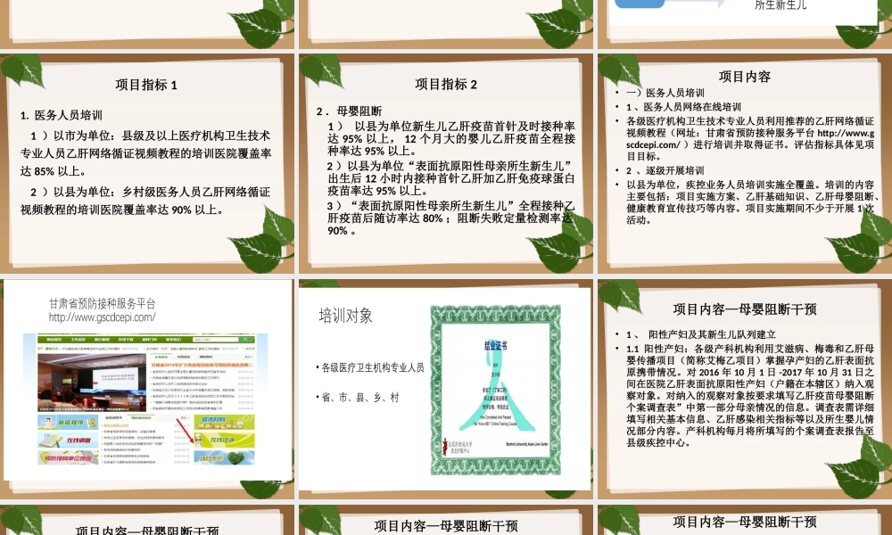 乙肝母婴阻断项目.ppt