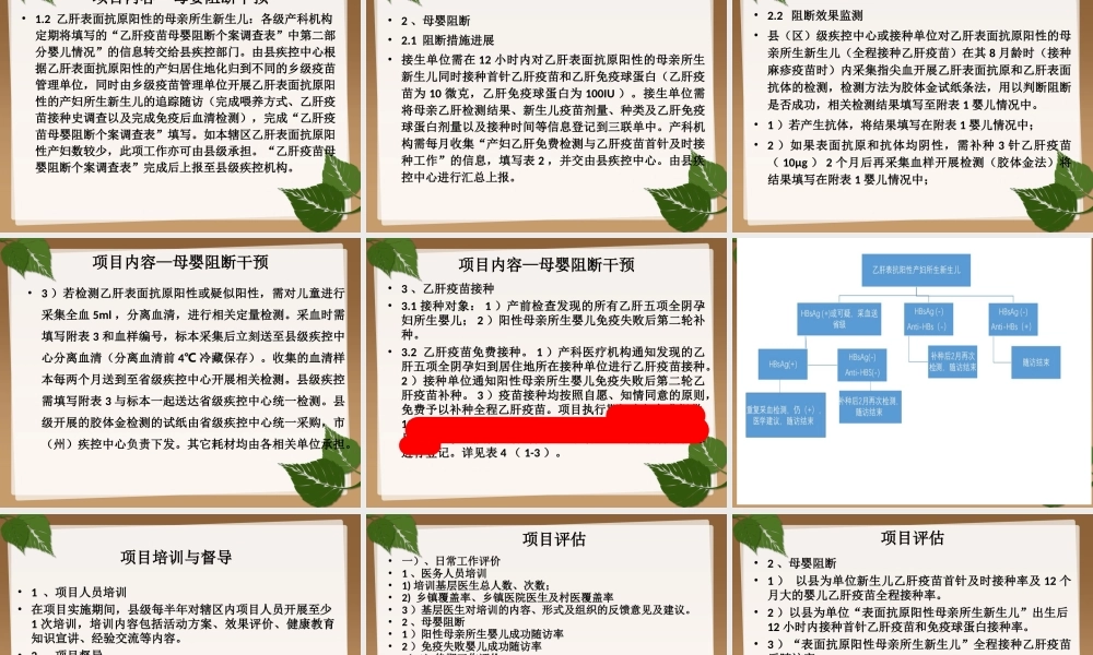 乙肝母婴阻断项目.ppt