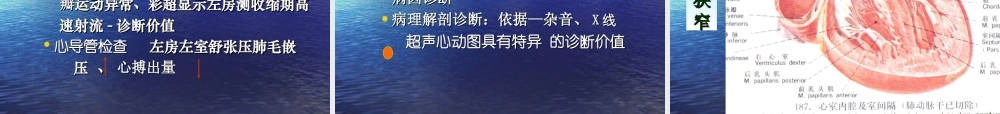 二尖瓣狭窄的心脏体征.ppt